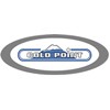 Logo with the text "Gold Point" in blue and white, featuring a mountain graphic, inside a gray oval outline.